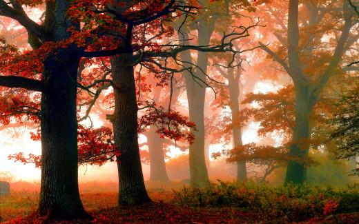 673890 (a): :1920x1200
